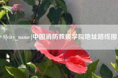 伊犁中国消防救援学院地址路线图