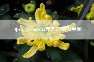 伊犁2022年九宫格飞星图