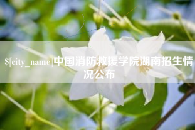 伊犁中国消防救援学院湖南招生情况公布