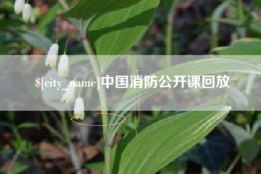 伊犁中国消防公开课回放