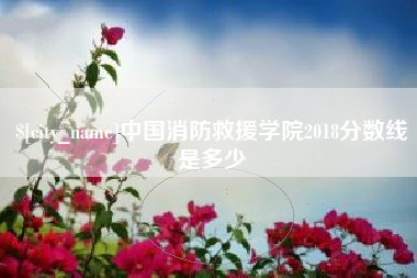 伊犁中国消防救援学院2018分数线是多少