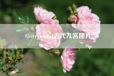 伊犁古代九宫图片