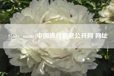 伊犁中国执行信息公开网 网址