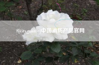 伊犁中国消防产品官网
