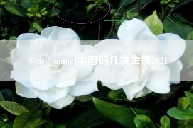 伊犁中国的几块金牌2021