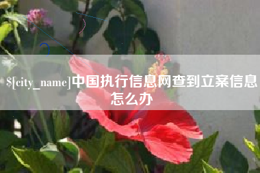 伊犁中国执行信息网查到立案信息怎么办