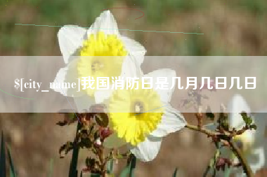 伊犁我国消防日是几月几日几日