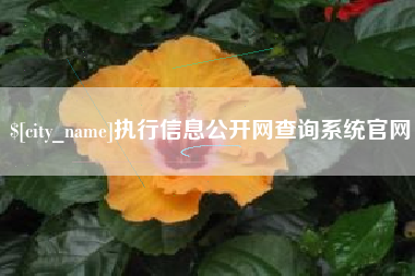 伊犁执行信息公开网查询系统官网