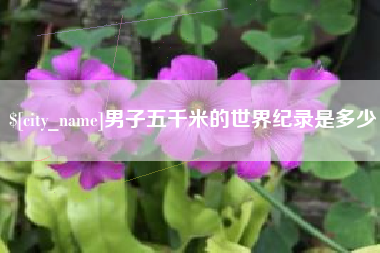 伊犁男子五千米的世界纪录是多少