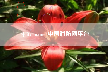 伊犁中国消防网平台