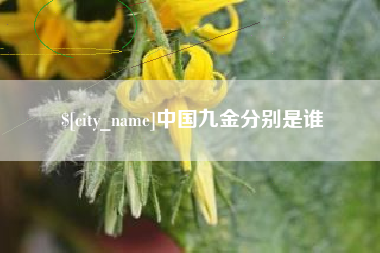 伊犁中国九金分别是谁