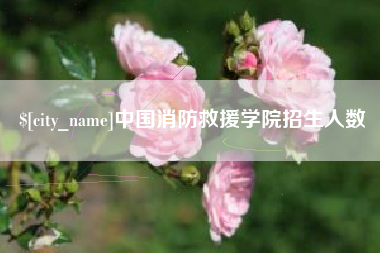 伊犁中国消防救援学院招生人数