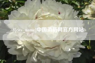 伊犁中国消防网官方网站