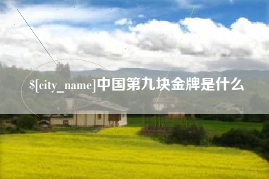 伊犁中国第九块金牌是什么
