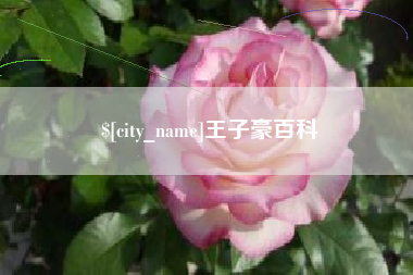 伊犁王子豪百科