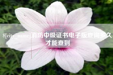 伊犁消防中级证书电子版查询多久才能查到