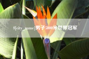 伊犁男子5000米世界冠军
