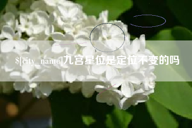 伊犁九宫星位是定位不变的吗