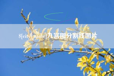 伊犁九宫图分割线图片