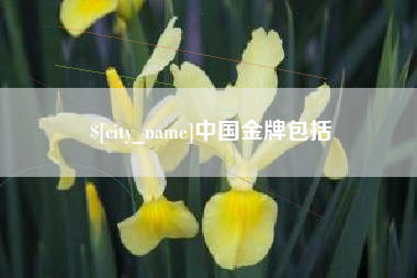伊犁中国金牌包括