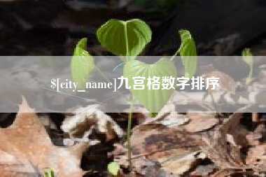 伊犁九宫格数字排序