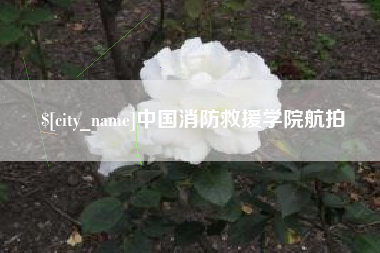 伊犁中国消防救援学院航拍