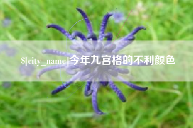 伊犁今年九宫格的不利颜色