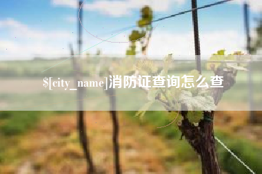 伊犁消防证查询怎么查