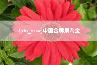 伊犁中国金牌第九金