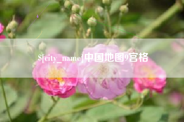 伊犁中国地图9宫格