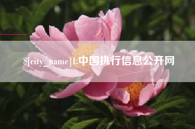 伊犁1.中国执行信息公开网