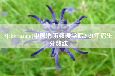 伊犁中国消防救援学院2024年招生分数线