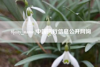伊犁中国执行信息公开网询