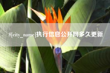 伊犁执行信息公开网多久更新