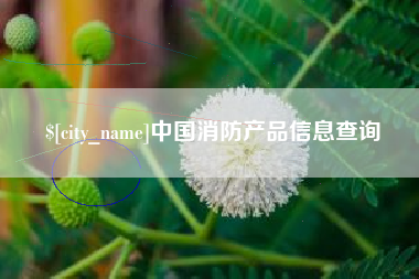 伊犁中国消防产品信息查询