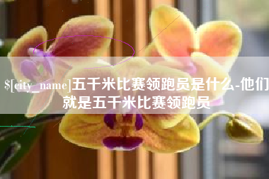 伊犁五千米比赛领跑员是什么-他们就是五千米比赛领跑员