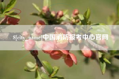 伊犁中国消防报考中心官网