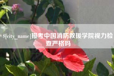 伊犁报考中国消防救援学院视力检查严格吗