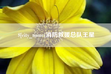 伊犁消防救援总队王星