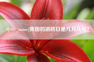 伊犁我国的消防日是几月几号？