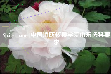 伊犁中国消防救援学院山东选科要求