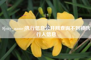伊犁执行信息公开网查询不到被执行人信息