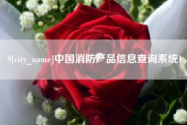 伊犁中国消防产品信息查询系统1