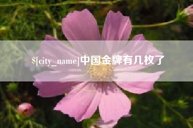 伊犁中国金牌有几枚了