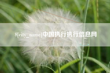 伊犁中国执行执行信息网