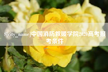 伊犁中国消防救援学院2020高考报考条件