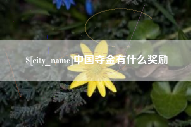 伊犁中国夺金有什么奖励