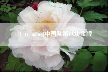 伊犁中国队第八块金牌