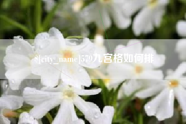 伊犁579九宫格如何排