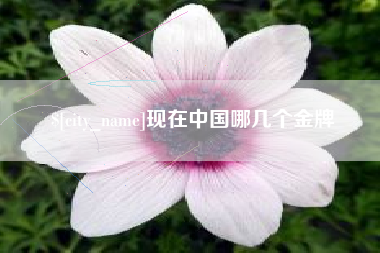 伊犁现在中国哪几个金牌